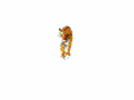 210628.gif